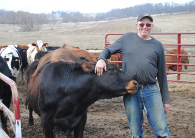 relationship with the cow, valley springs farm, reedsburg, WI