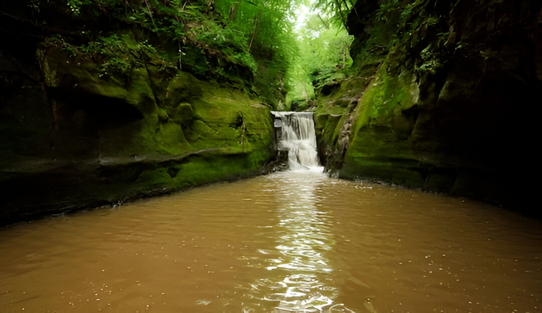 Pewitt's Nest State Natural Area.