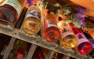 Driftless Sips & Scenic Savoring: A Sauk County Wine & Beer Trail for Valley Springs Farm Guests