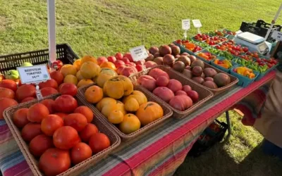 Fresh From the Driftless: A Taste of Sauk County’s Local Food & Farmers Markets