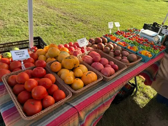 Fresh From the Driftless: A Taste of Sauk County’s Local Food & Farmers Markets